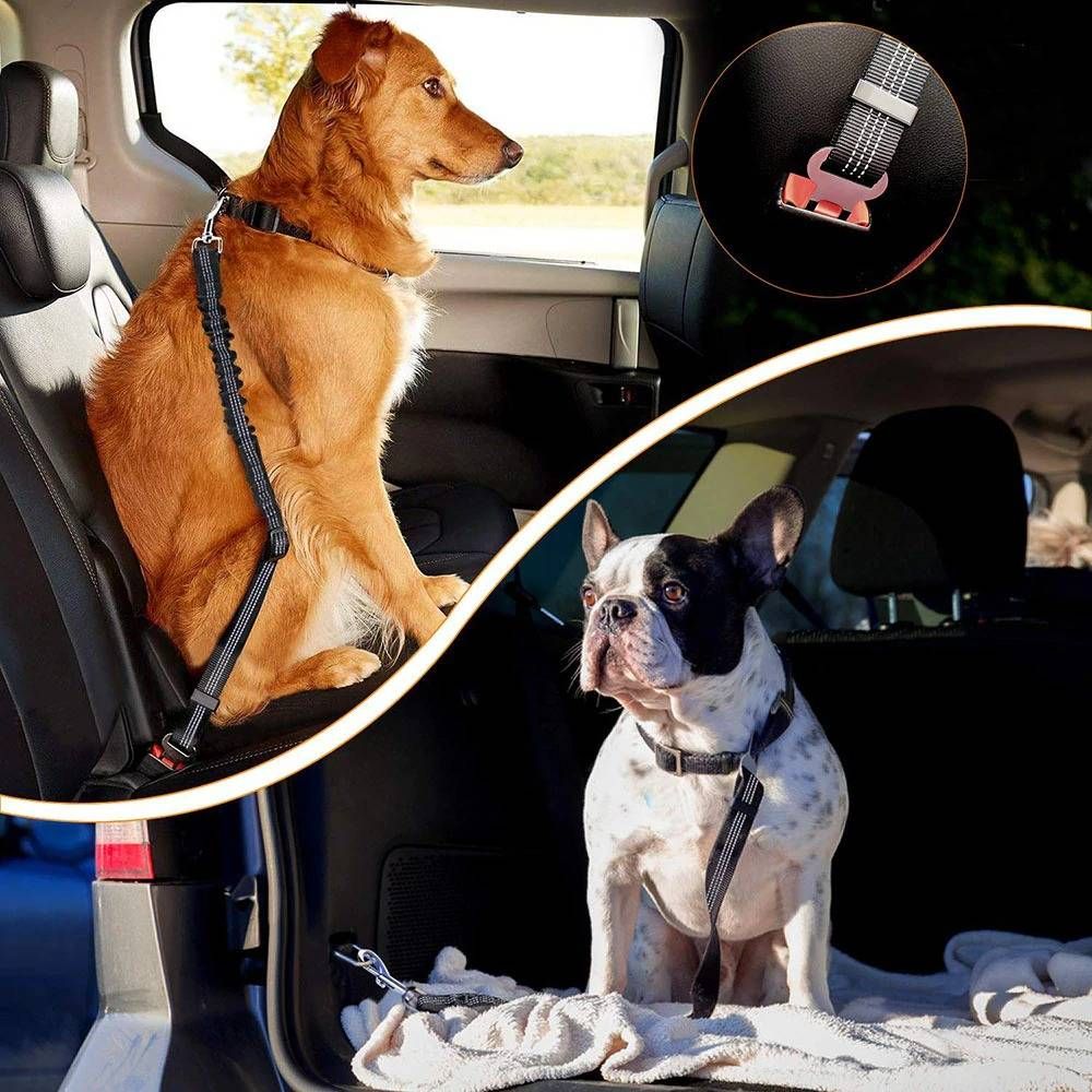 Ride'n'Secure: Dog Car Leash ™