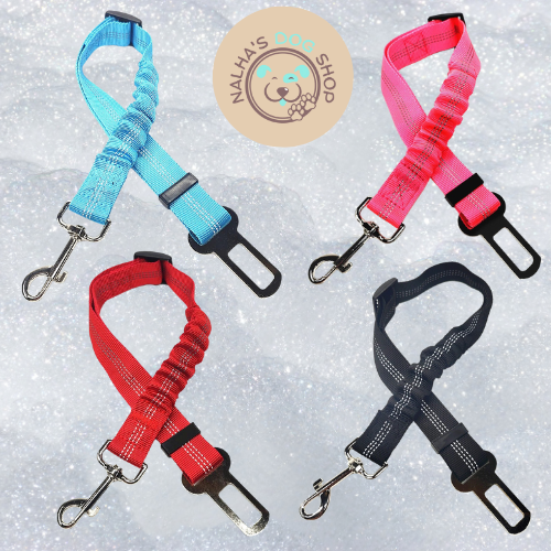 Ride'n'Secure: Dog Car Leash ™