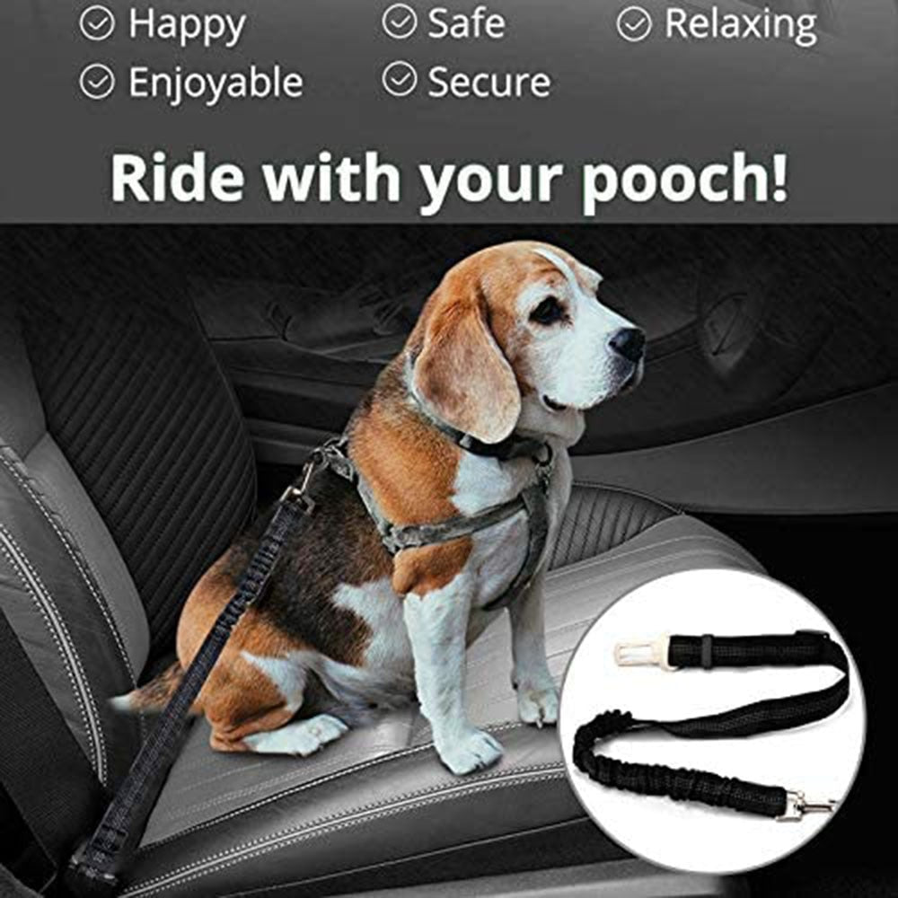 Ride'n'Secure: Dog Car Leash ™