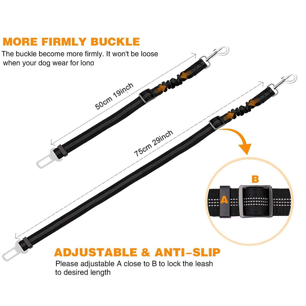 Ride'n'Secure: Dog Car Leash ™