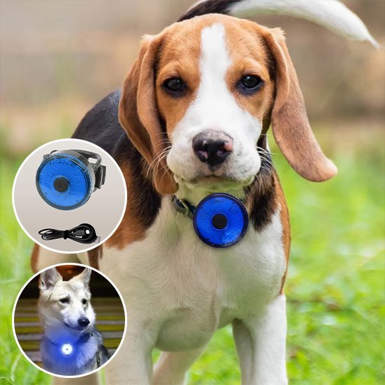 USB rechargeable LED dog collar with charging cable included