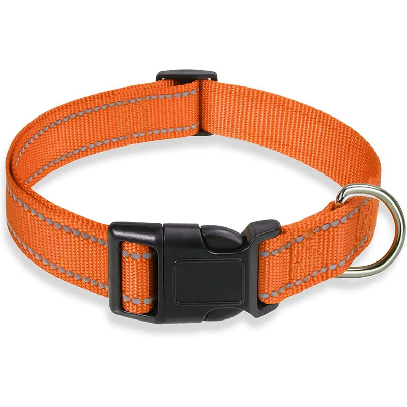 Vibrant colour options for DuraPro dog collar and lead set orange