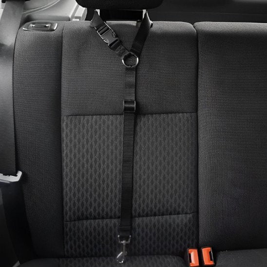 Black SecureRide car dog lead for the car seat headrest