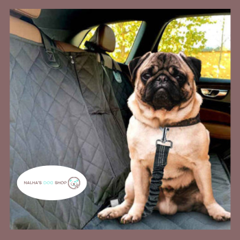 Ride'n'Secure: Dog Car Leash ™
