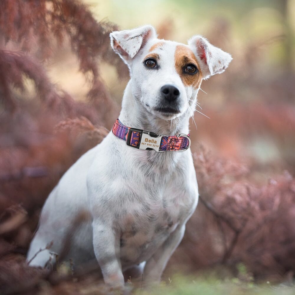 AdjustableDogCollar™
