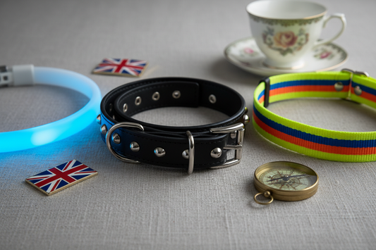 Best dog collars UK 2024 - premium leather, reflective and LED collars for British dog owners
