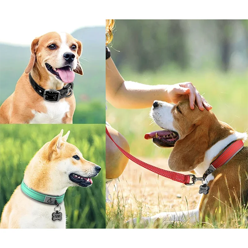 Adjustable padded dog collar with reflective strips