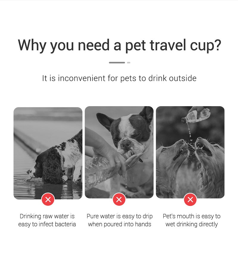BPA-free dog water bottle easy carry lanyard UK