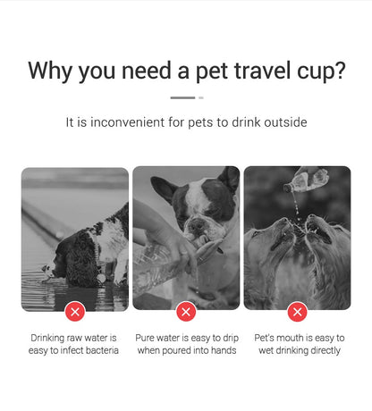 BPA-free dog water bottle easy carry lanyard UK