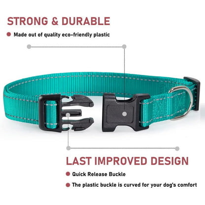 Close-up of durable nylon dog collar with reinforced stitching and safety buckle