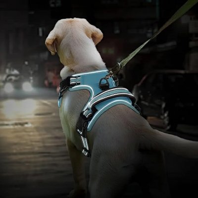 Comfortable dog harness padding