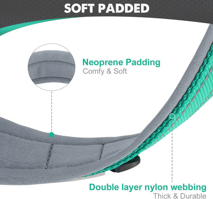 Comfortable neoprene padded dog collar close-up