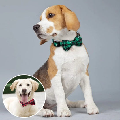 Complete premium dog collar set with interchangeable festive bow ties