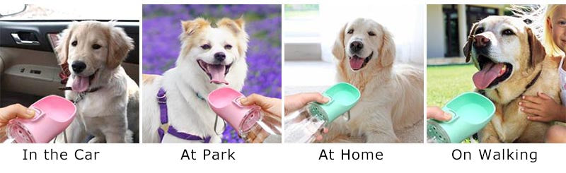 	Dog drinking from portable water bottle UK walk