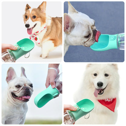Dog drinking from portable water bottle UK walk