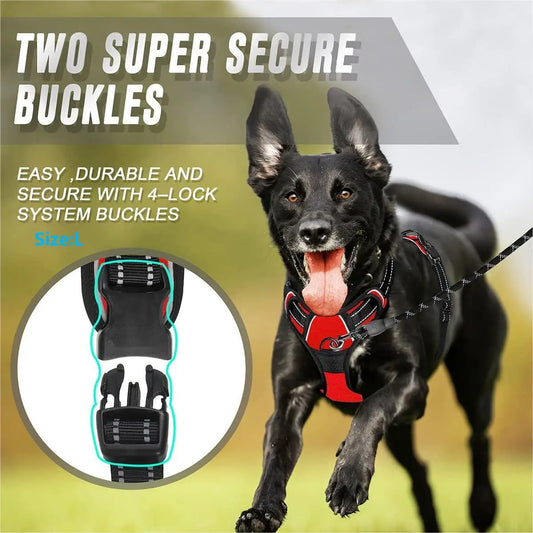Dog harness buckle closure secure fit large breed UK