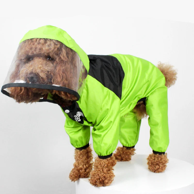 Dog wearing a green raincoat UK