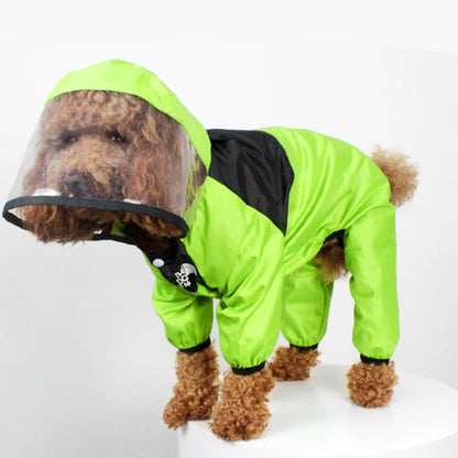 Dog wearing a green raincoat UK