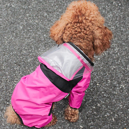 Dog wearing a pink raincoat UK