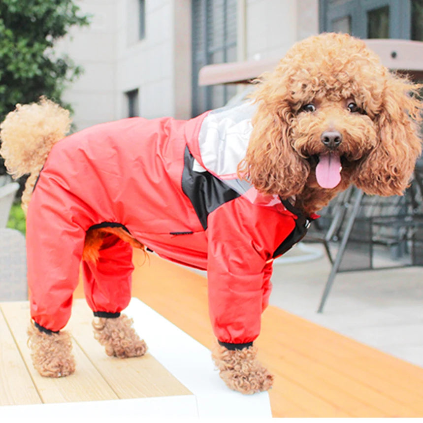 Dog wearing a red raincoat UK