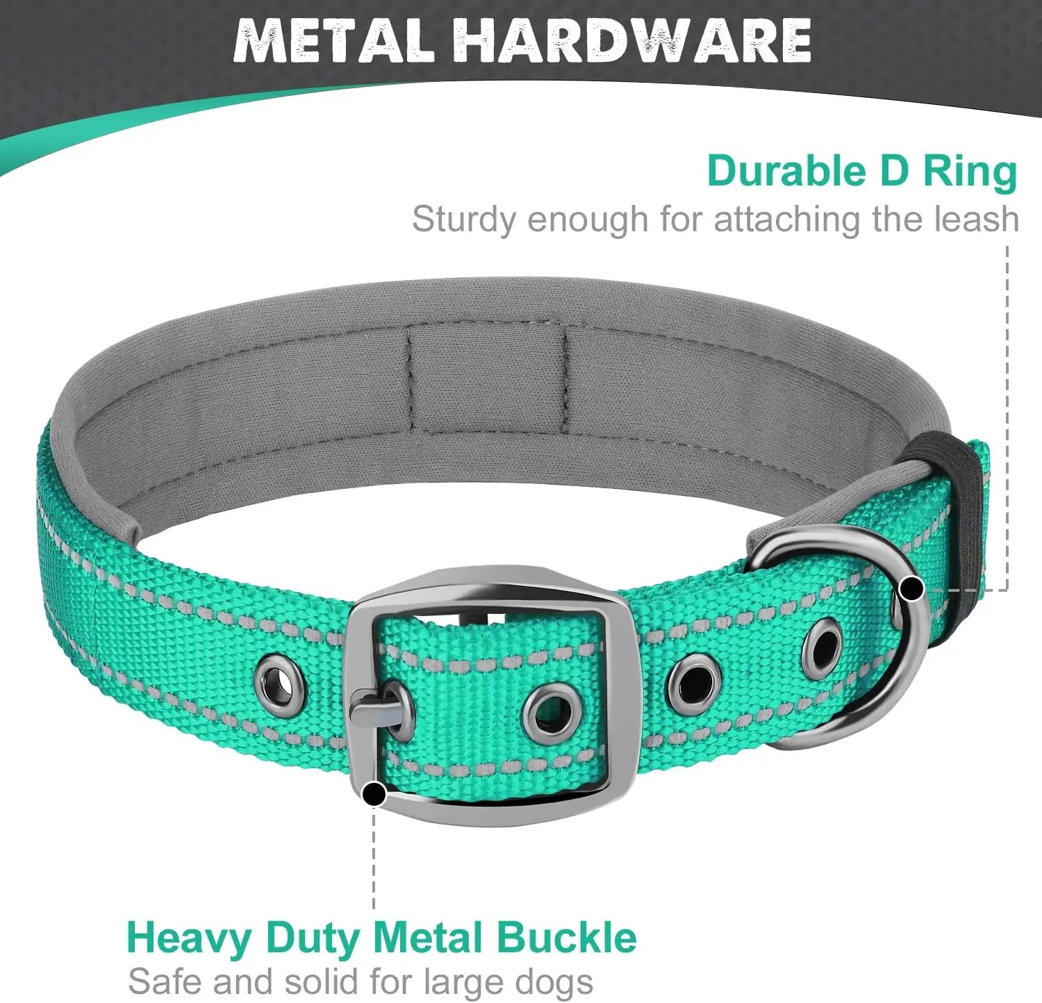 Heavy-duty metal buckle and D-ring attachment