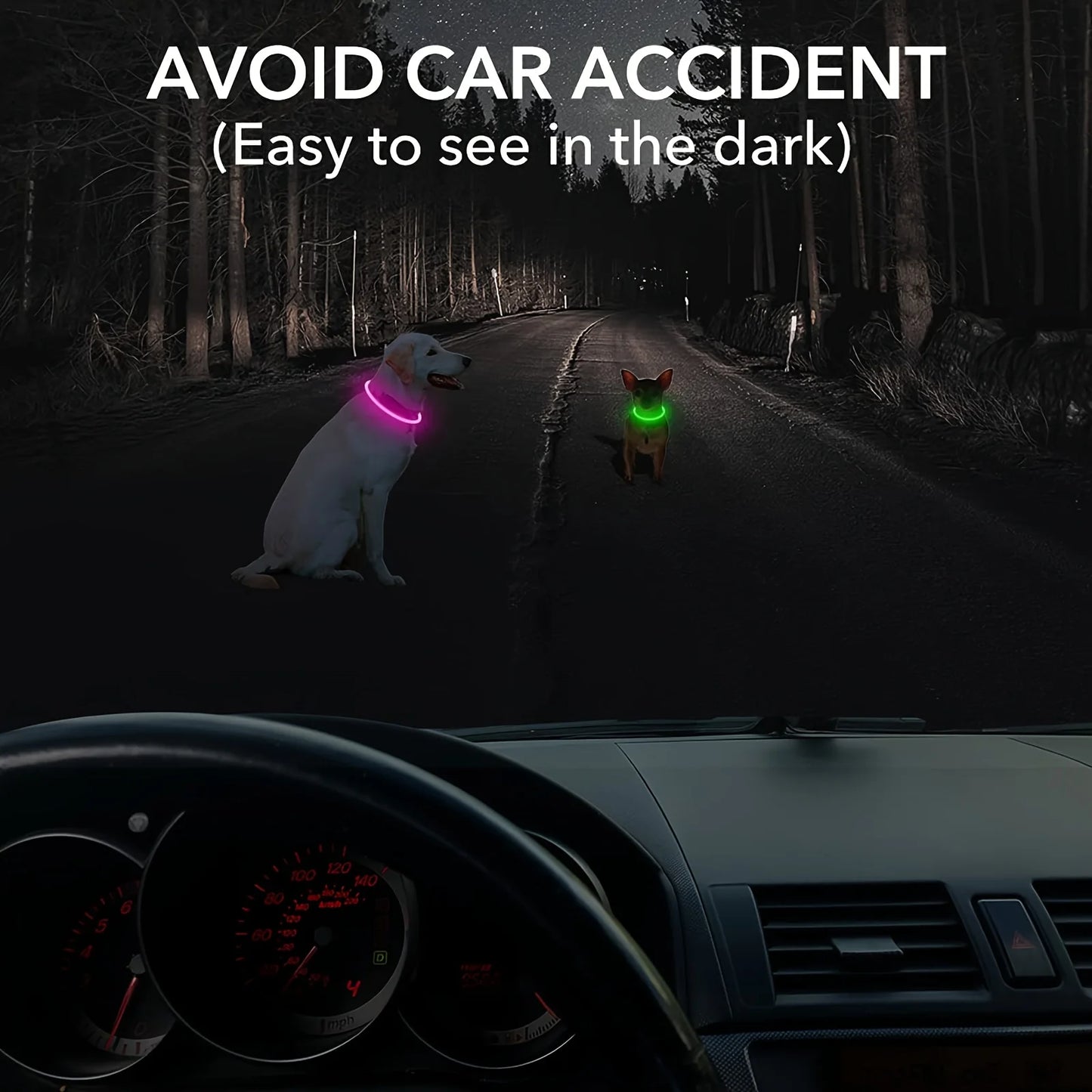 LED Dog Collar Glowing at Night - 300m Visibility - Waterproof Nylon Design
