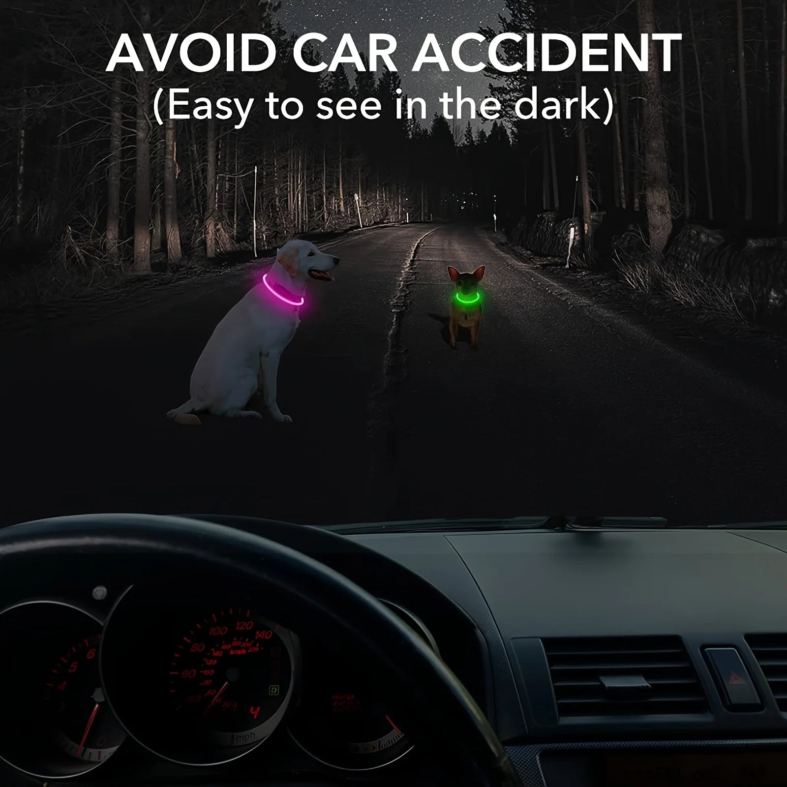 LED Dog Collar Glowing at Night - 300m Visibility - Waterproof Nylon Design
