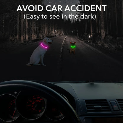 LED Dog Collar Glowing at Night - 300m Visibility - Waterproof Nylon Design
