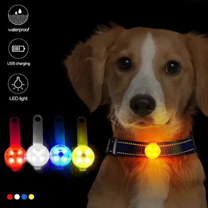LED collar light in multiple colours - blue, orange, yellow options