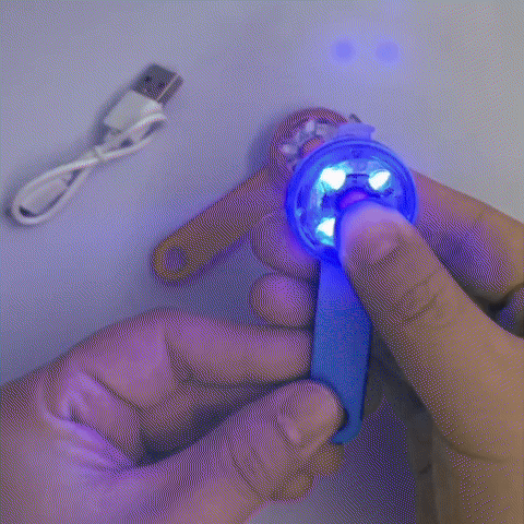 LED dog collar light demonstration showing three flashing modes in action
