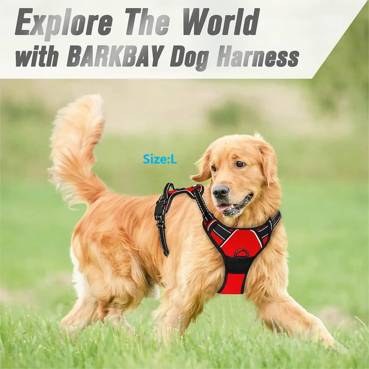 No pull dog harness UK front clip reflective heavy duty large dog