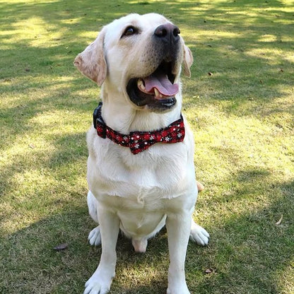 Premium dog collar with bow tie - side view showing adjustable strap