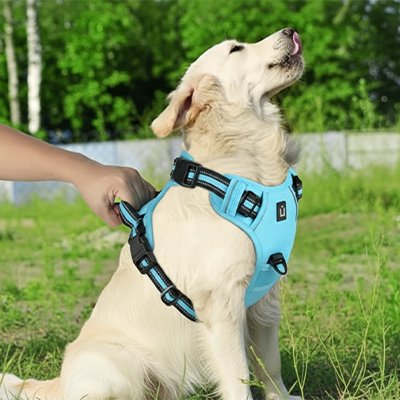 Premium dog harness - complete view