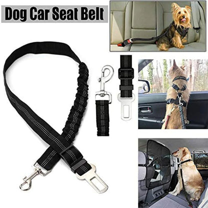 Ride'n'Secure: Dog Car Leash ™
