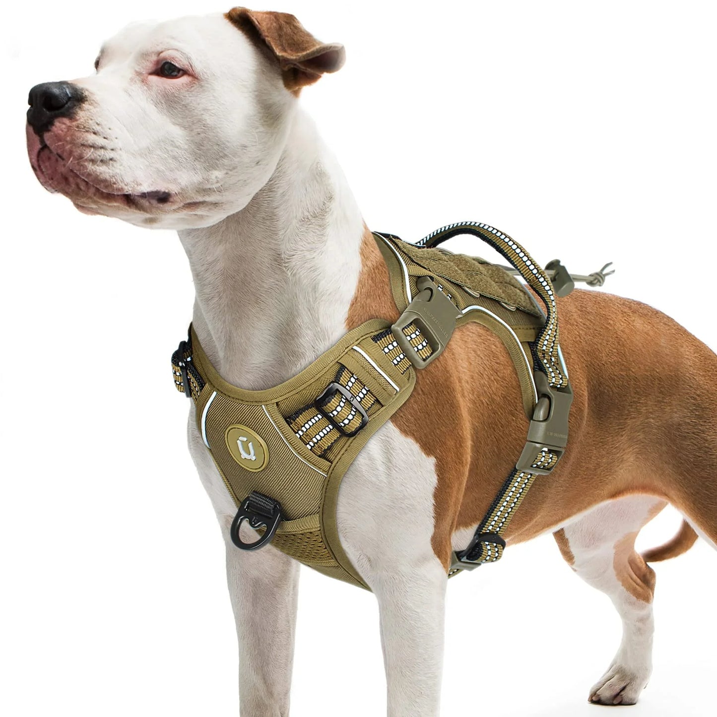dog harness uk | no pull dog harness