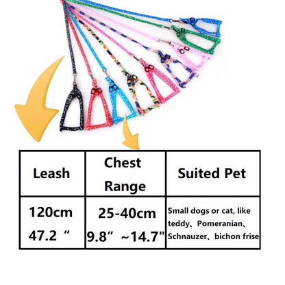 Dog Lead | Ergonomic