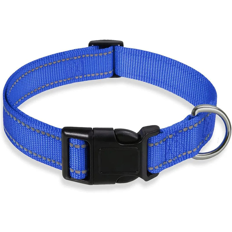 Vibrant colour options for DuraPro dog collar and lead set blue