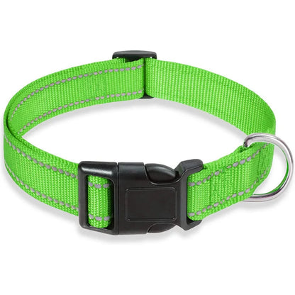Vibrant colour options for DuraPro dog collar and lead set green