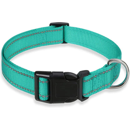 Vibrant colour options for DuraPro dog collar and lead set lake blue