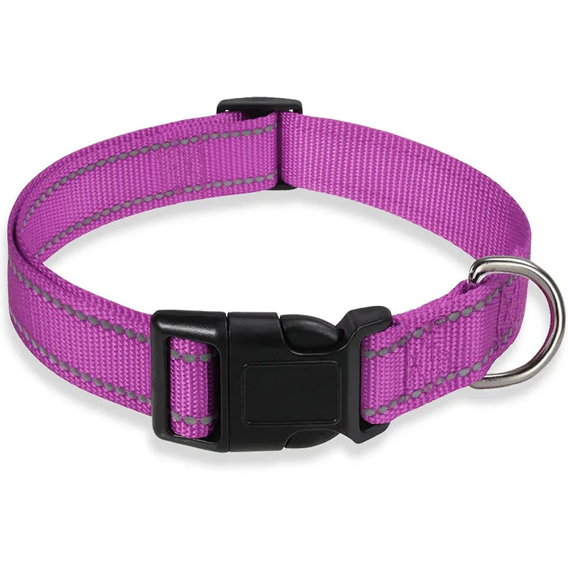 Vibrant colour options for DuraPro dog collar and lead set - purple