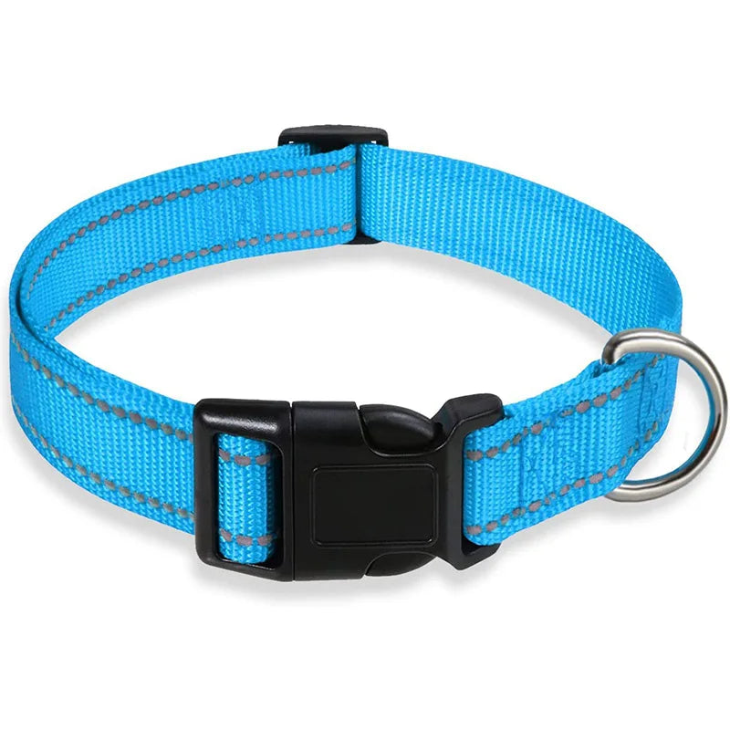 Vibrant colour options for DuraPro dog collar and lead set sky blue