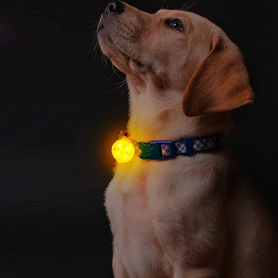 Yellow LED safety necklace for dogs with rotating light pattern
