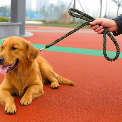Green braided rope dog lead with looped handle