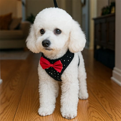 Black rhinestone small dog harness with padded mesh