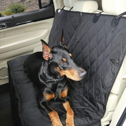 Dog car cover