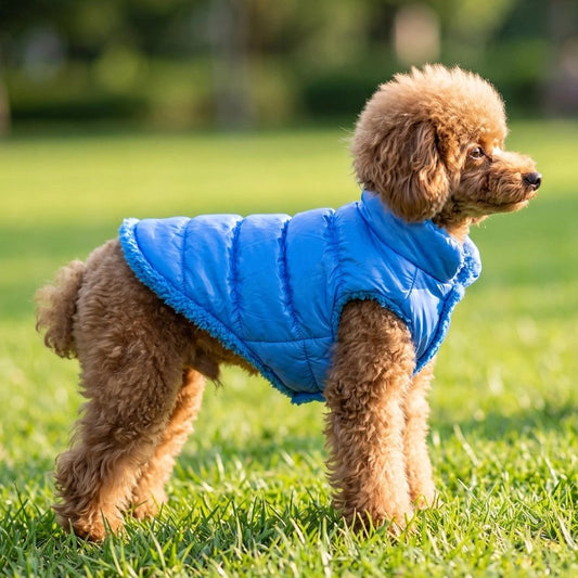 Blue CozyFleece quilted puffer dog coat with fleece trim