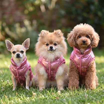 Small dog wearing a warm CozyFleece quilted dog coat