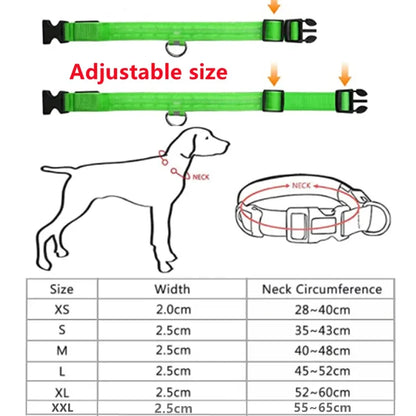 Adjustable LED dog collar for all sizes