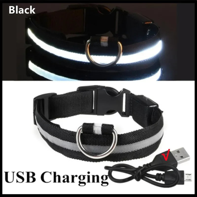 LED dog collar rechargeable black glowing in the dark