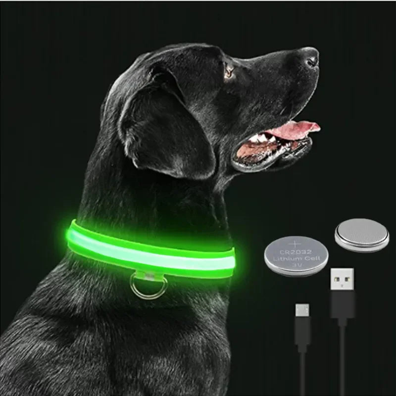 LED collar showing 300m visibility range